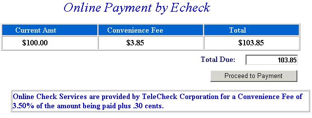 Pay by online check example screen