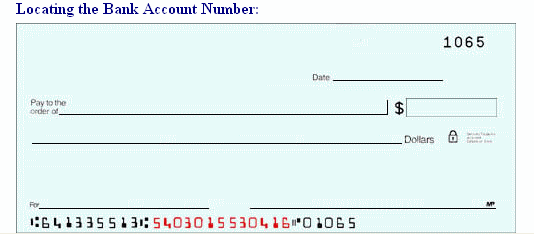 Enter check information example screen